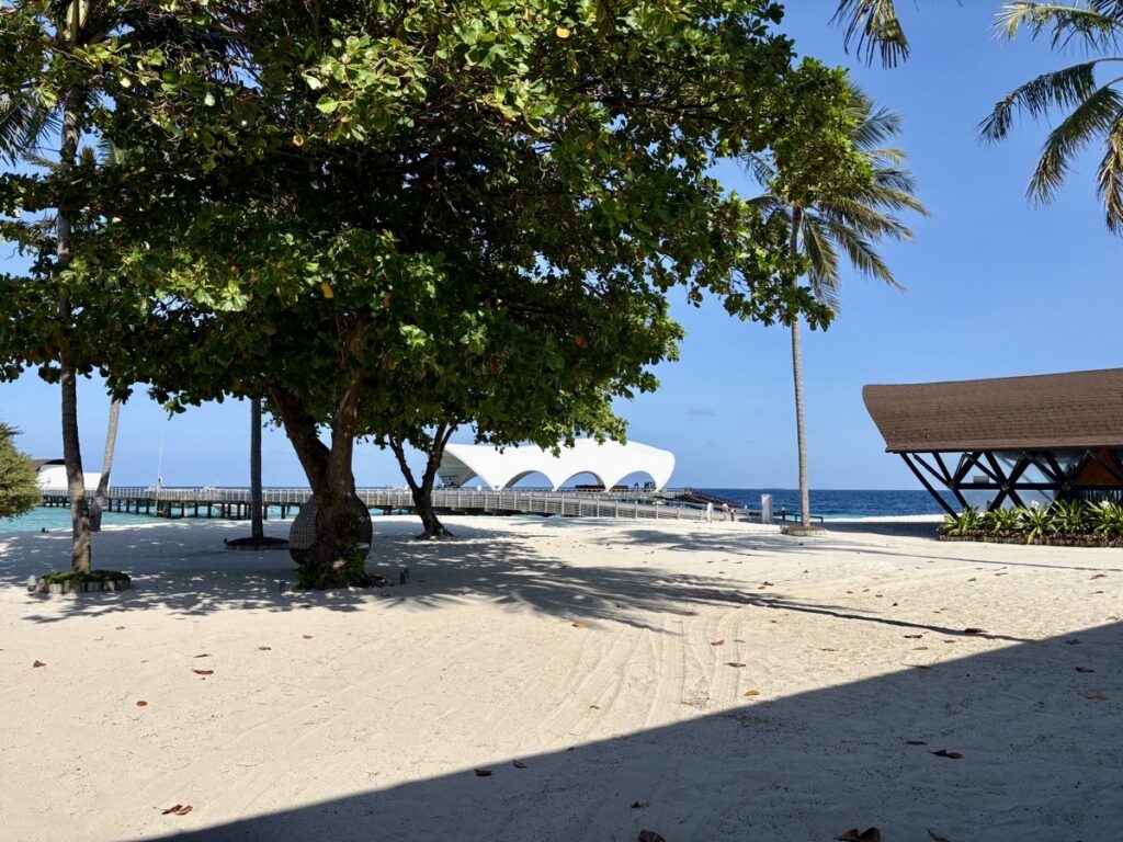 モルディブ日焼け