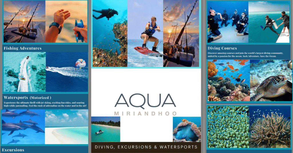 マリンアクティビティ