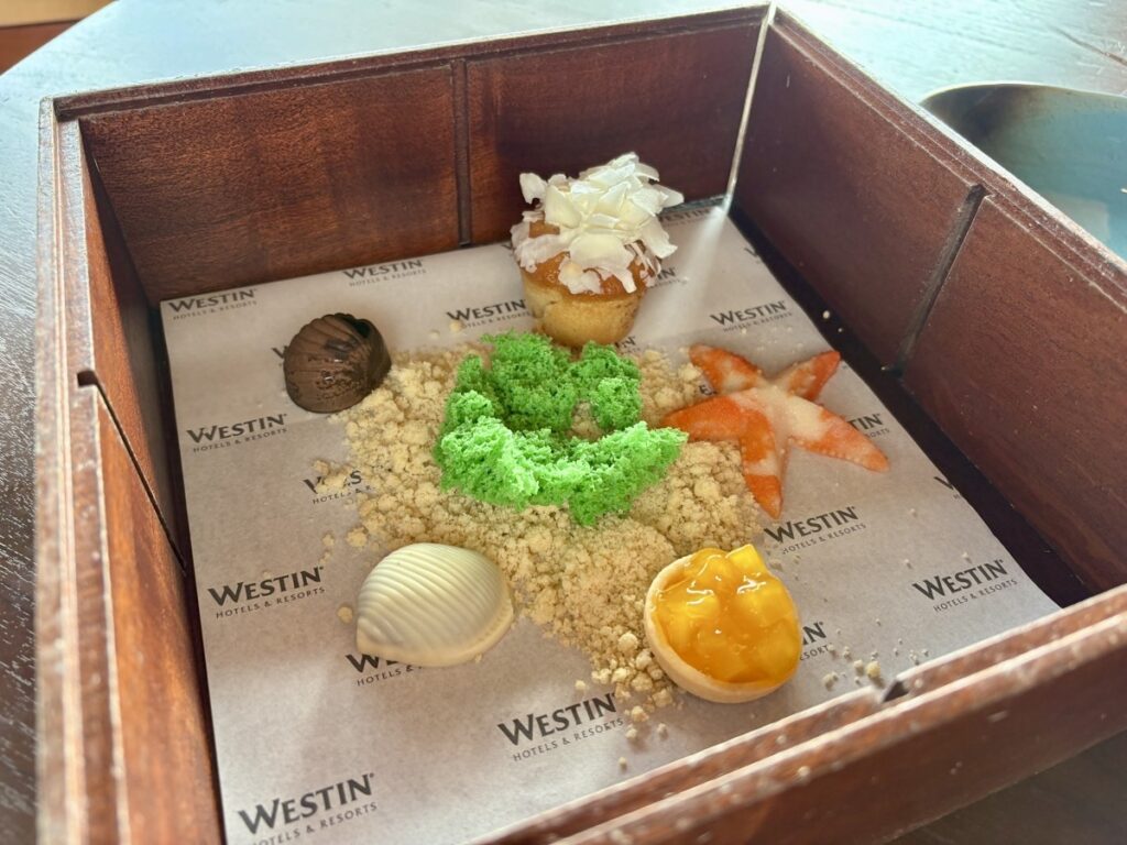 ウェルカムギフト